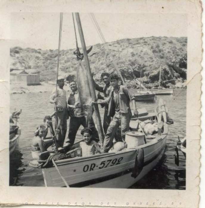 111 LES ILES ABIBAS FRANCOIS MARCEL FREDERIC BOLUIX.jpg